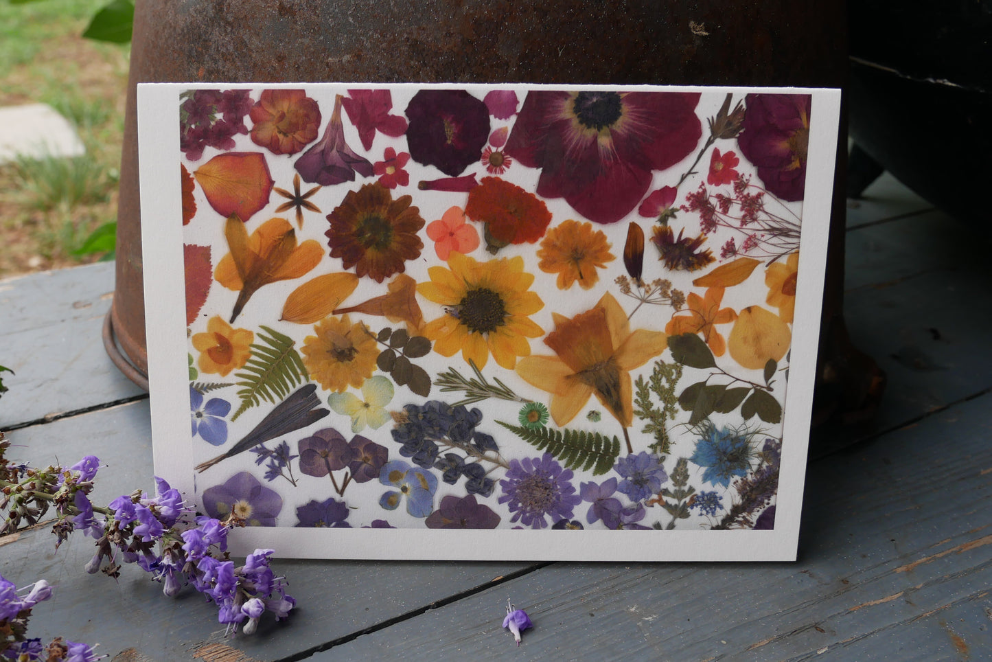 Pressed flower rainbow card