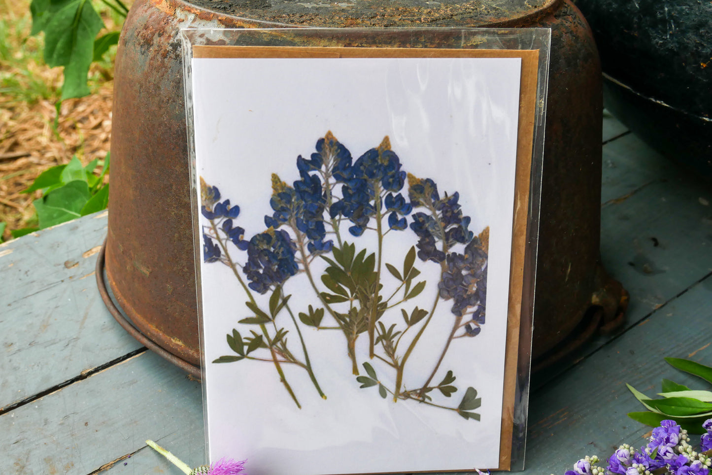 Texas bluebonnet blank greeting  card