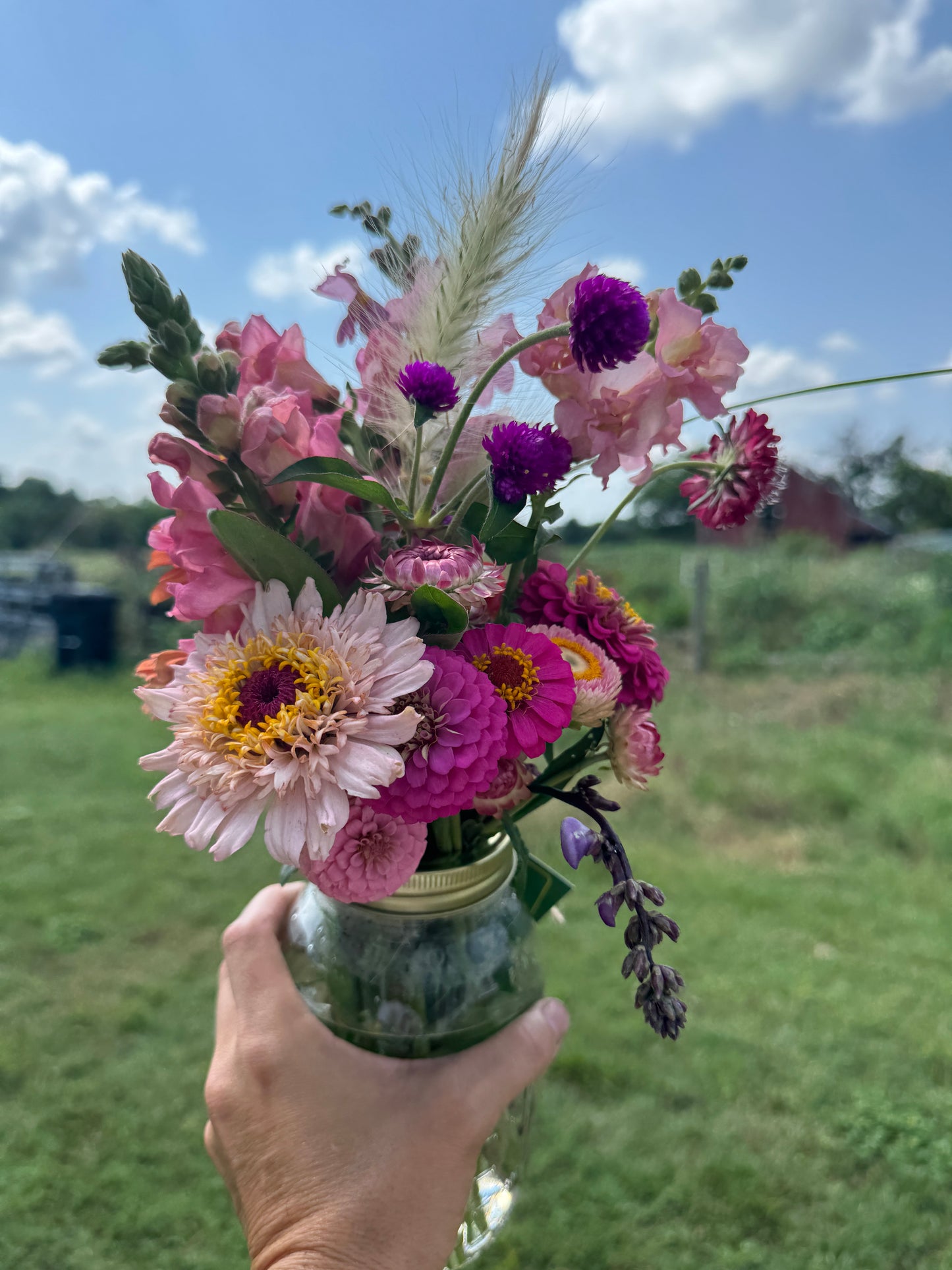 Spring farm fresh flower CSA preorder