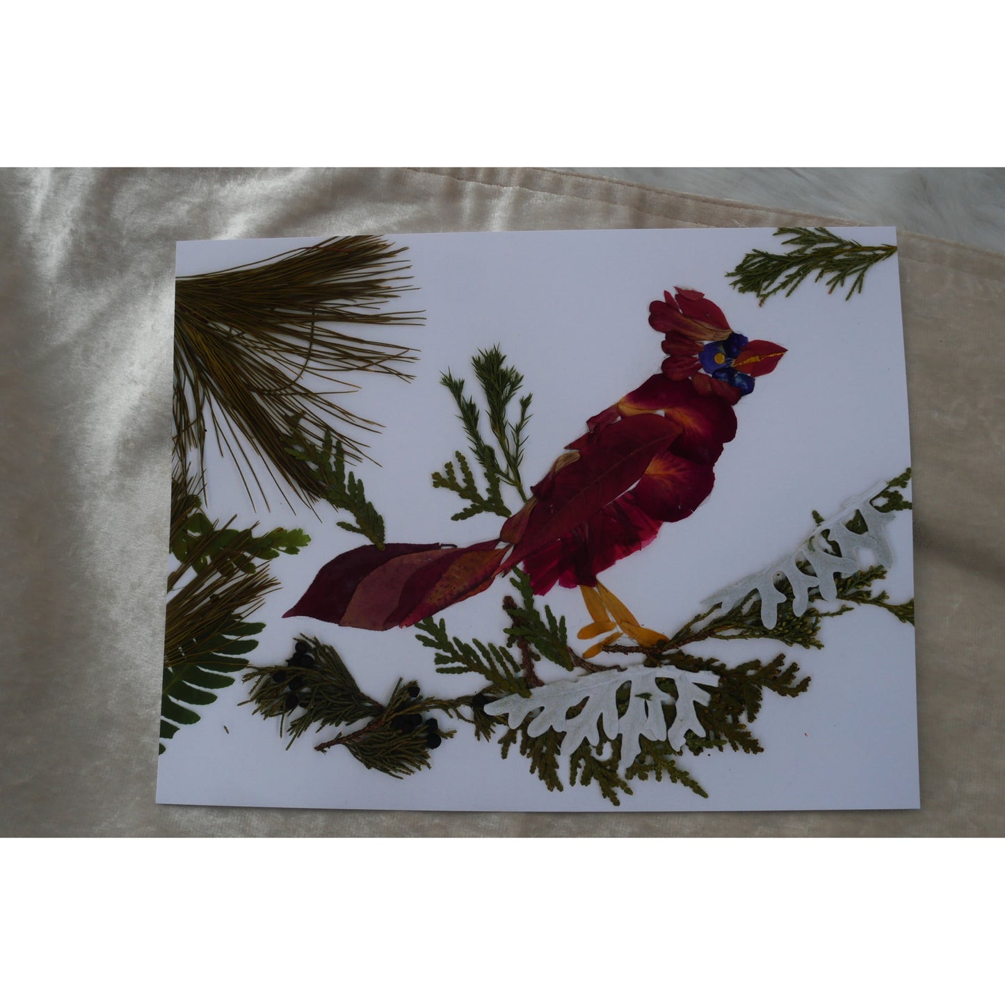 Pressed flower Cardinal  blank greeting card