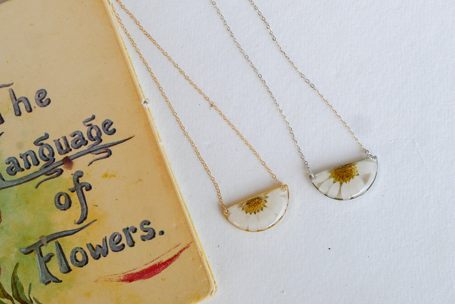 Half moon Pressed Daisy Necklace