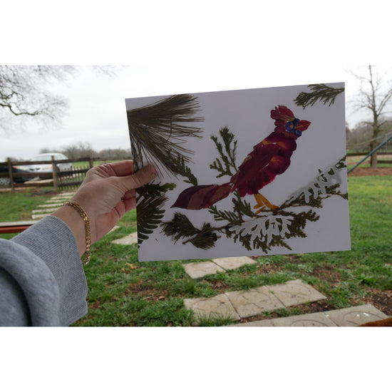 Pressed flower Cardinal  blank greeting card