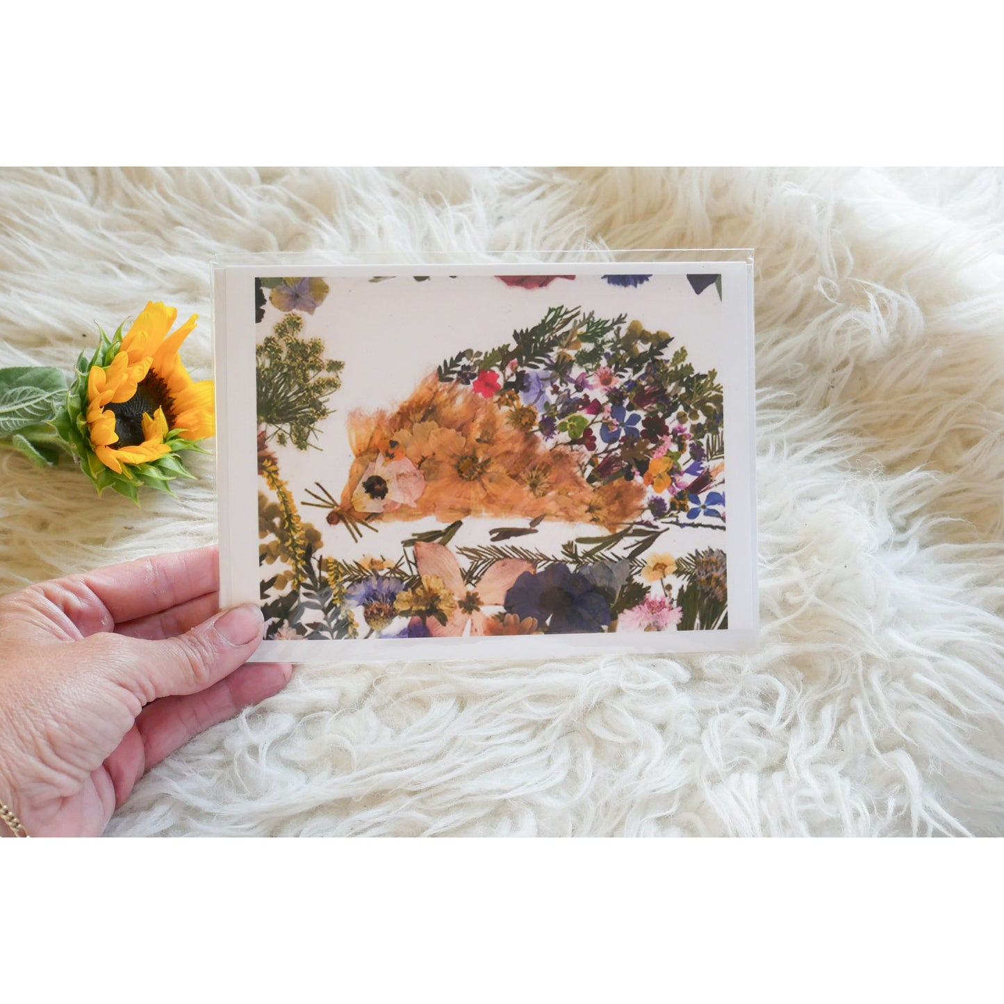 Pressed hedgehog greeting card, print