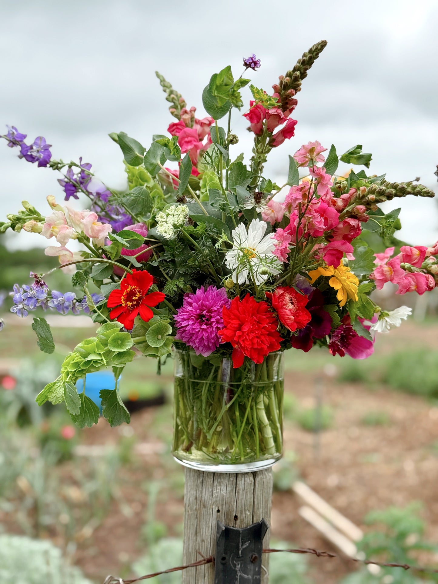 Fresh farm flowers Waco TX | Local Farm Bouquets & Delivery