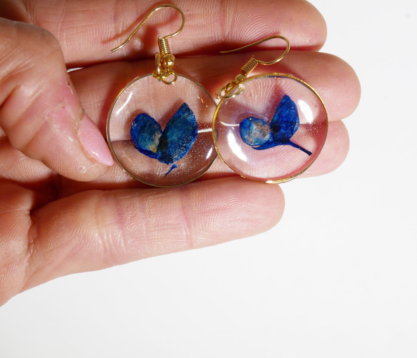 Texas Bluebonnet petal earrings, real flower jewelry, Real flower dangle earrings, Bluebonnet earrings, Pressed Bluebonnet, terrarium