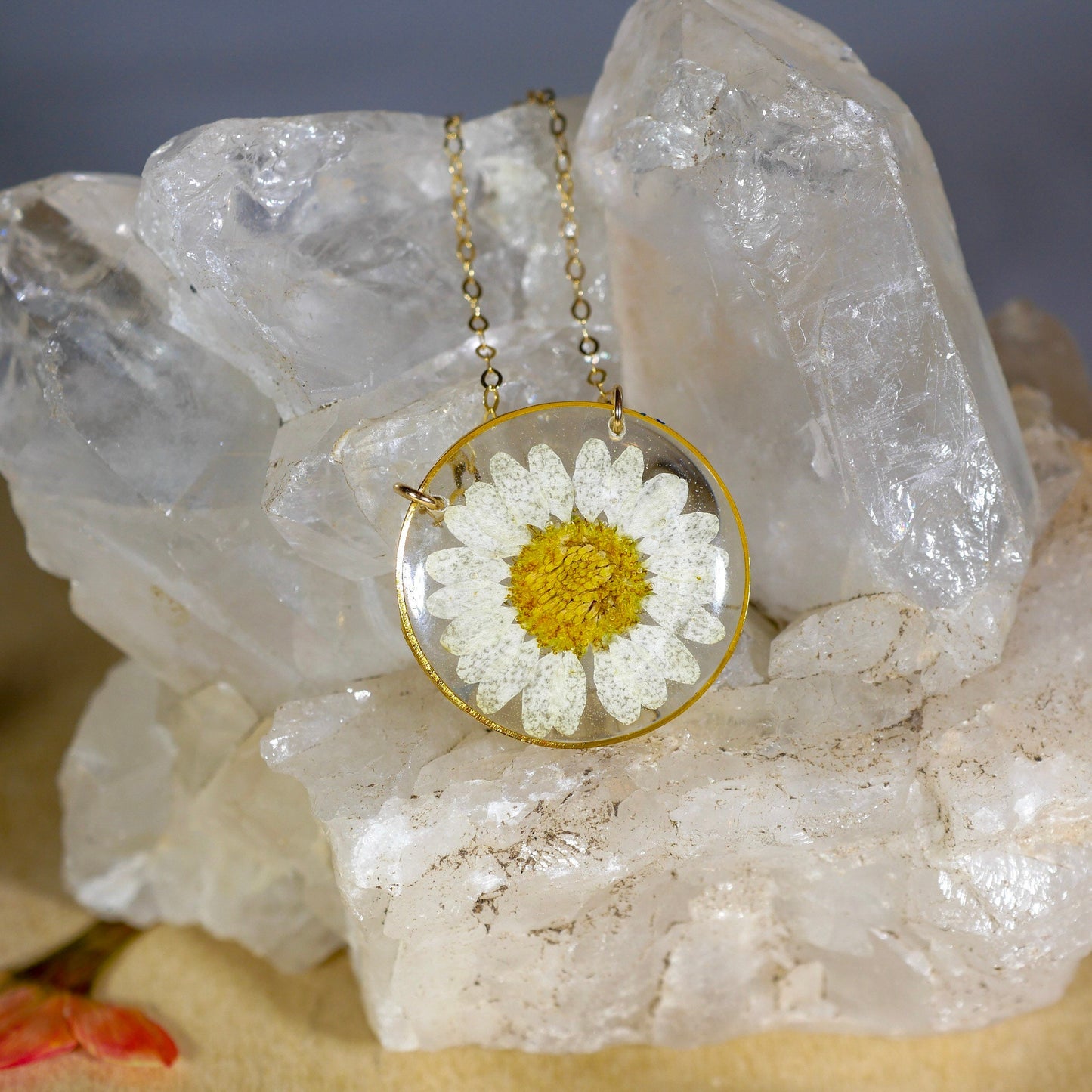 Pressed daisy necklace, botanical necklace, white daisy necklace, pressed flower jewelry botanical terrarium necklace pressed daisy