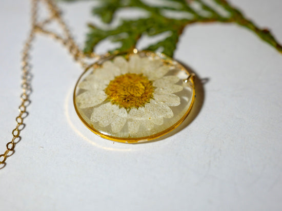 Pressed daisy necklace, botanical necklace, white daisy necklace, pressed flower jewelry botanical terrarium necklace pressed daisy