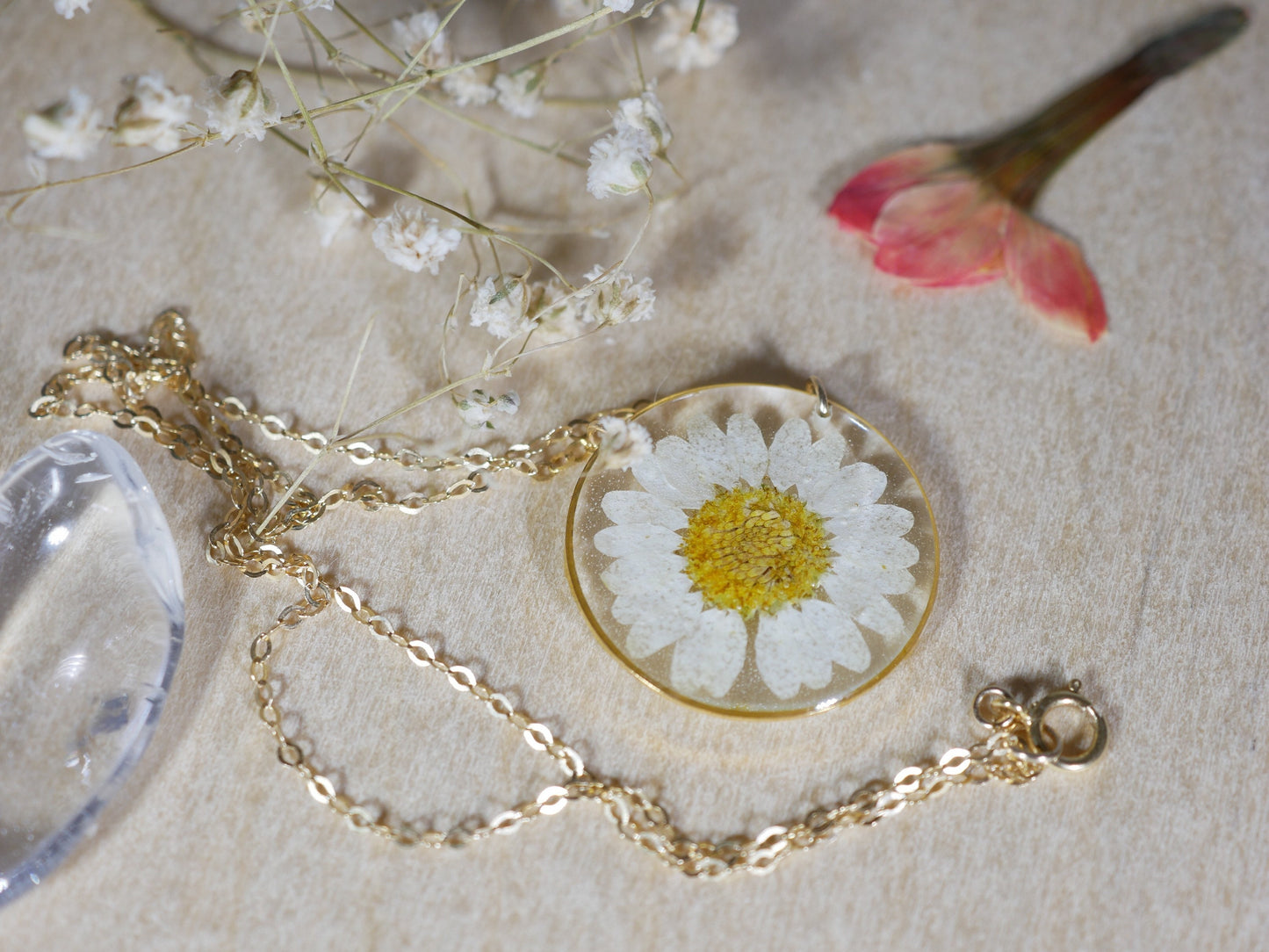 Pressed daisy necklace, botanical necklace, white daisy necklace, pressed flower jewelry botanical terrarium necklace pressed daisy