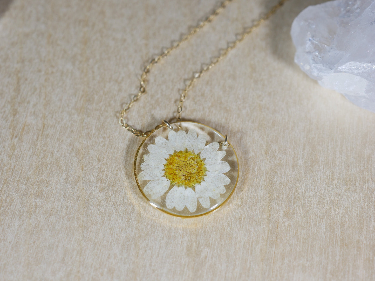 Pressed daisy necklace, botanical necklace, white daisy necklace, pressed flower jewelry botanical terrarium necklace pressed daisy