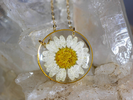 Pressed daisy necklace, botanical necklace, white daisy necklace, pressed flower jewelry botanical terrarium necklace pressed daisy