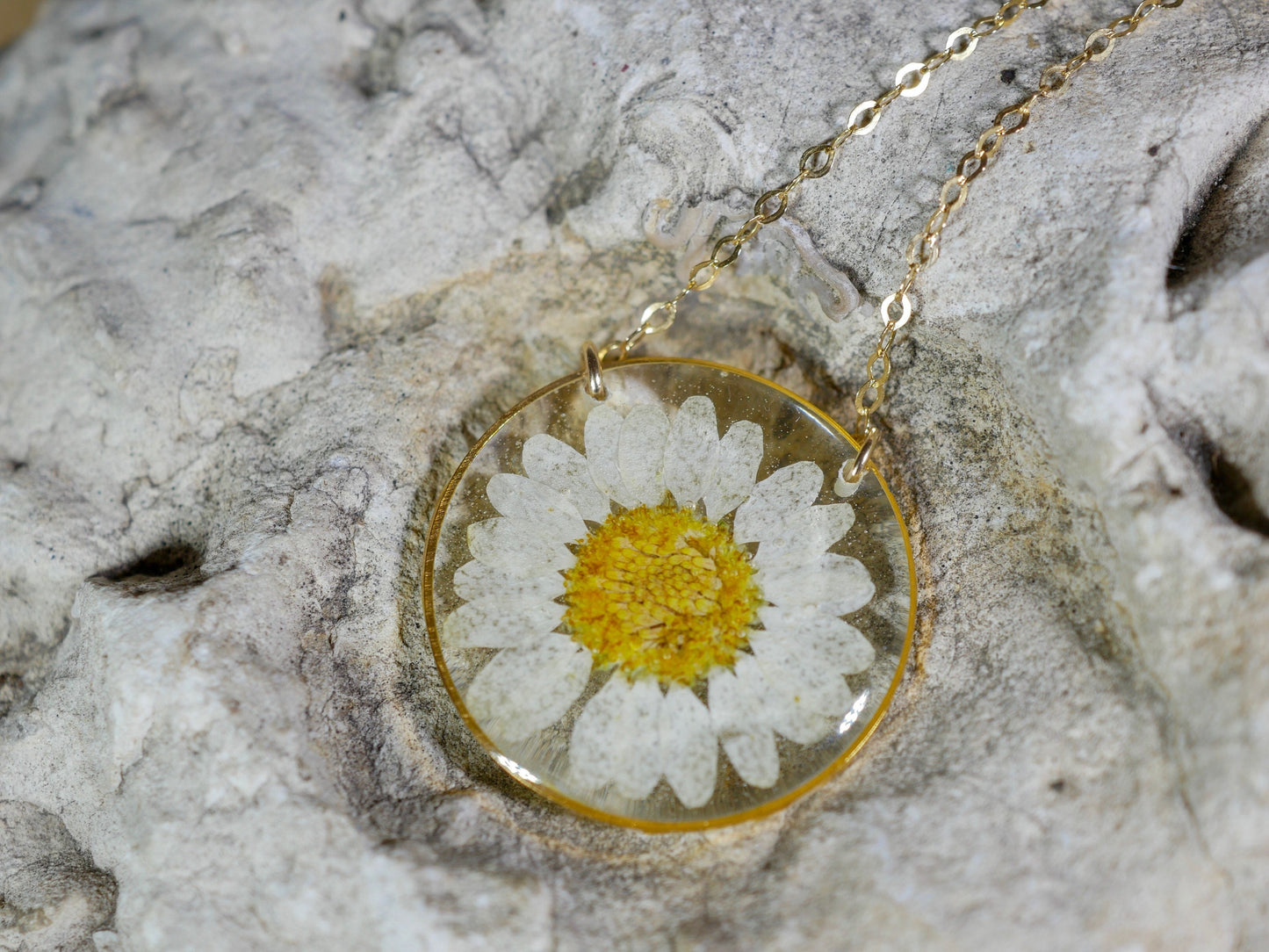 Pressed daisy necklace, botanical necklace, white daisy necklace, pressed flower jewelry botanical terrarium necklace pressed daisy