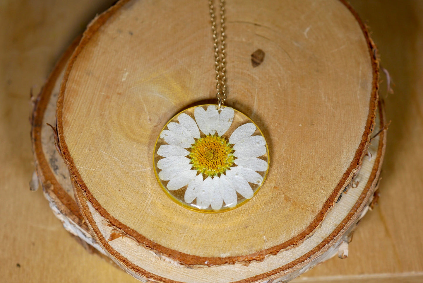 Pressed daisy necklace, white daisy necklace, Silver flower pressed flower jewelry botanical terrarium necklace pressed daisy, New mom gift
