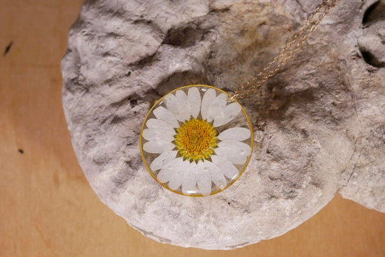 Pressed daisy necklace, white daisy necklace, Silver flower pressed flower jewelry botanical terrarium necklace pressed daisy, New mom gift