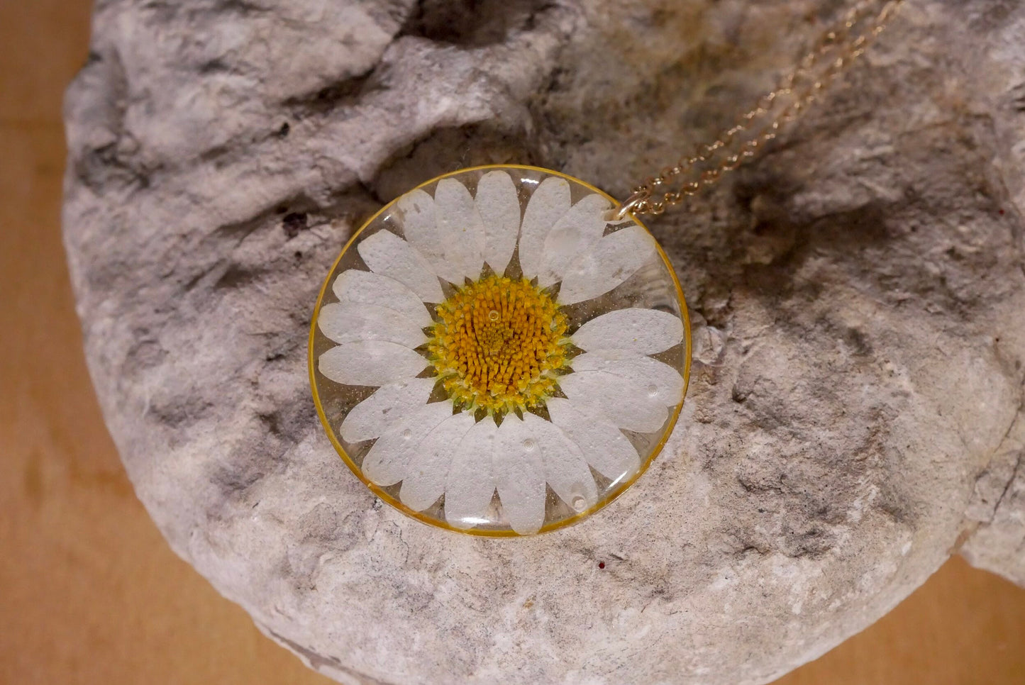 Pressed daisy necklace, white daisy necklace, Silver flower pressed flower jewelry botanical terrarium necklace pressed daisy, New mom gift