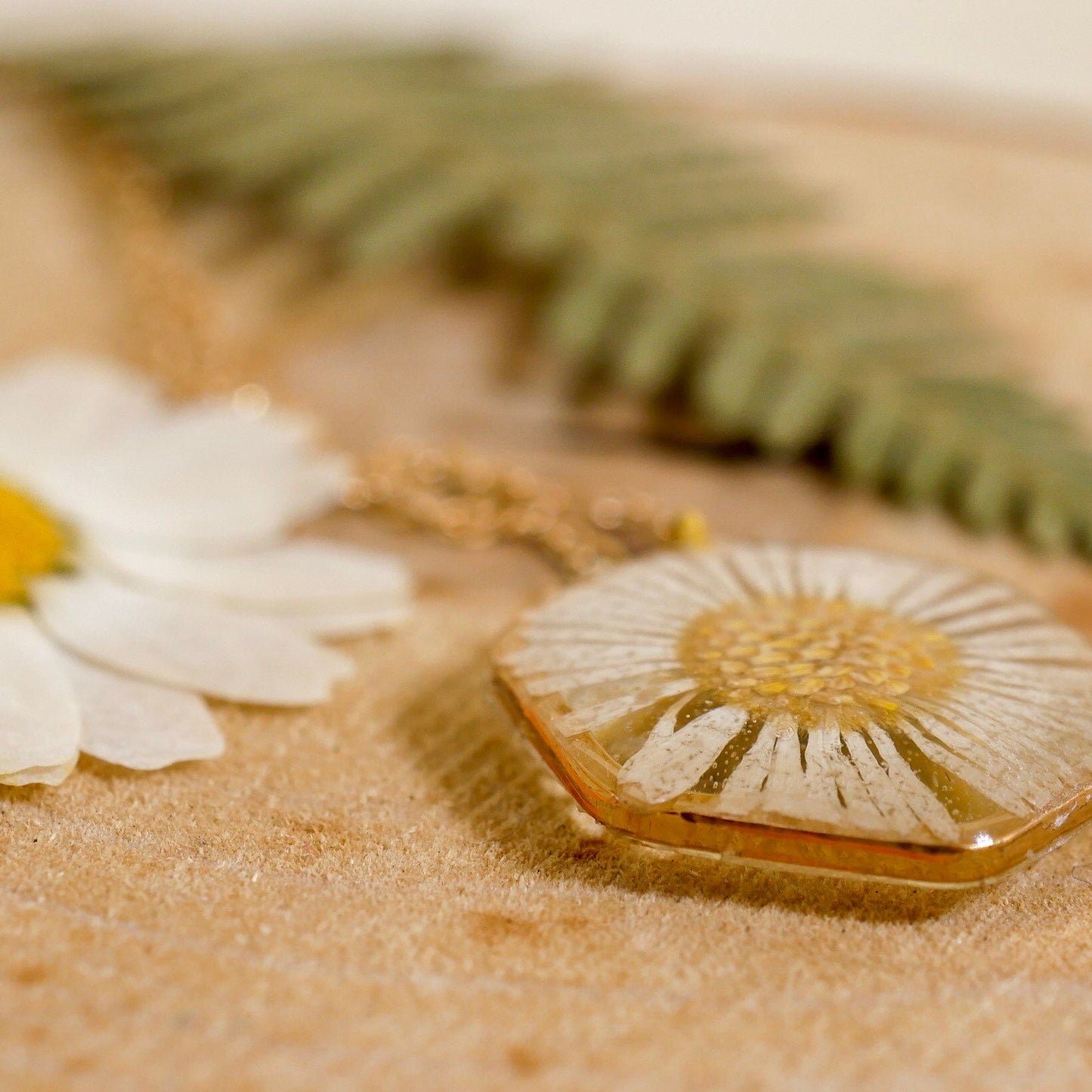 Tiny English Daisy necklace, hexagon fleabane necklace, botanical jewelry, Real flower terrarium