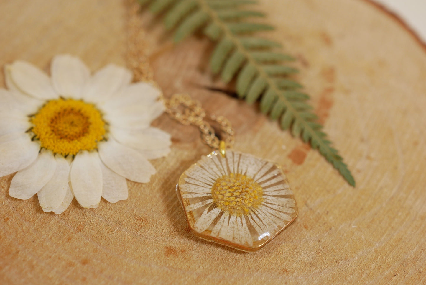 Tiny English Daisy necklace, hexagon fleabane necklace, botanical jewelry, Real flower terrarium