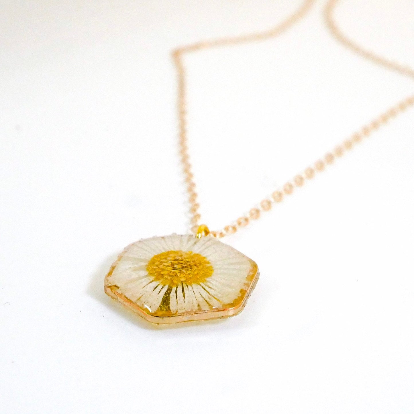 Tiny English Daisy necklace, hexagon fleabane necklace, botanical jewelry, Real flower terrarium