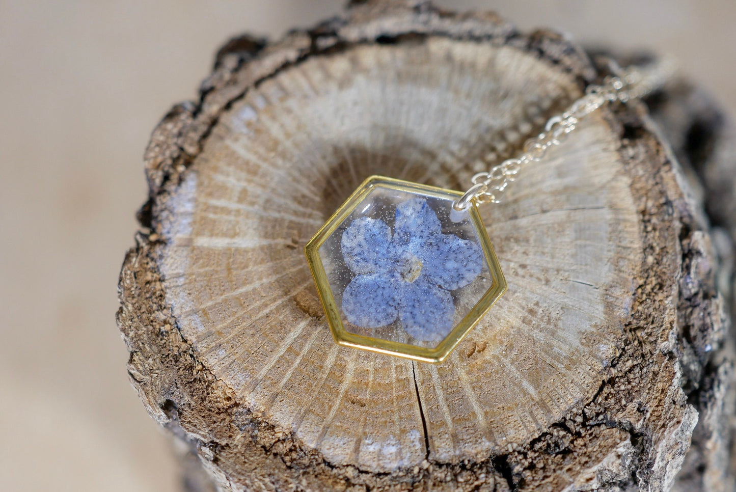 Tiny forget me not necklace, hexagon necklace, pressed flower jewelry, Memorial jewelry, Something blue brides charm, Real flower terrarium