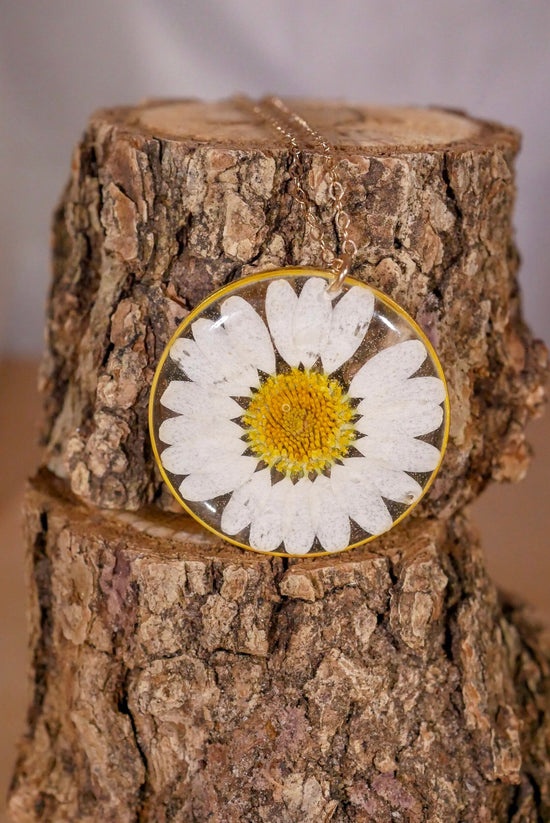 Pressed daisy necklace, white daisy necklace, Silver flower pressed flower jewelry botanical terrarium necklace pressed daisy, New mom gift