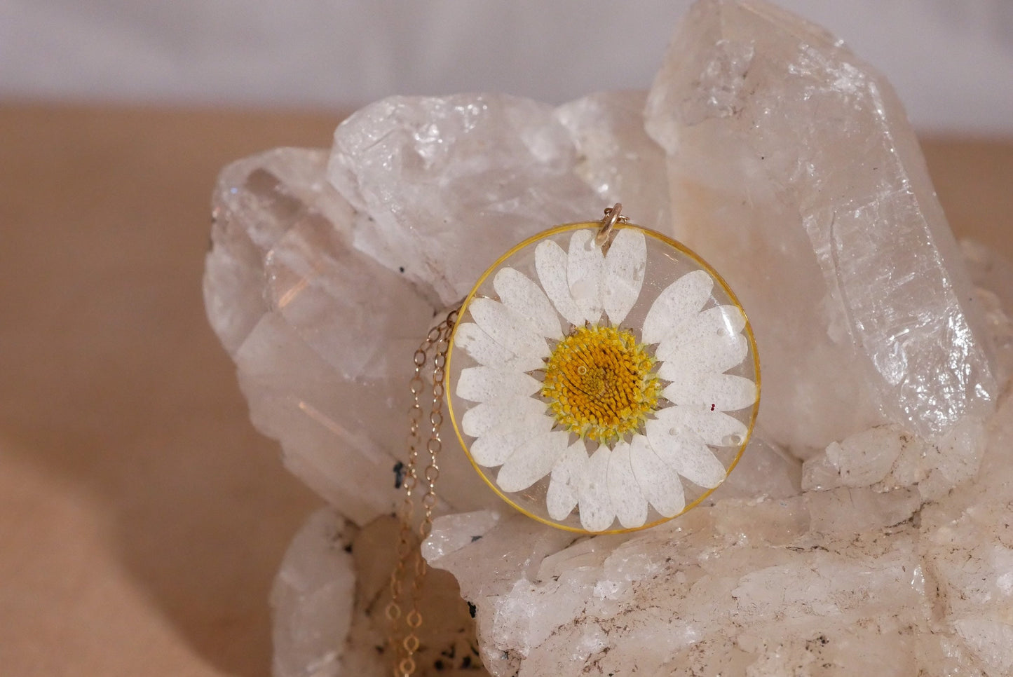 Pressed daisy necklace, white daisy necklace, Silver flower pressed flower jewelry botanical terrarium necklace pressed daisy, New mom gift