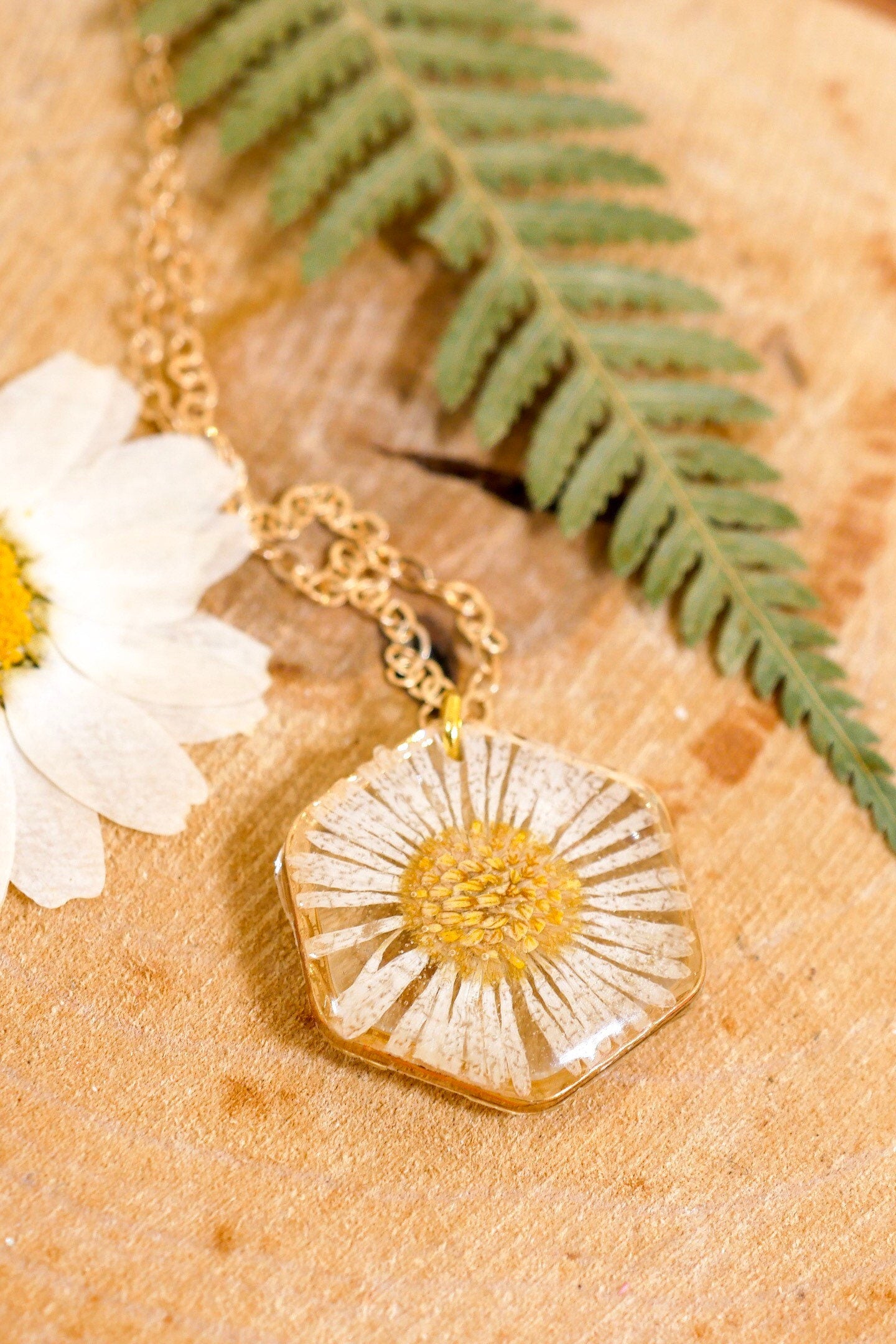 Tiny English Daisy necklace, hexagon fleabane necklace, botanical jewelry, Real flower terrarium