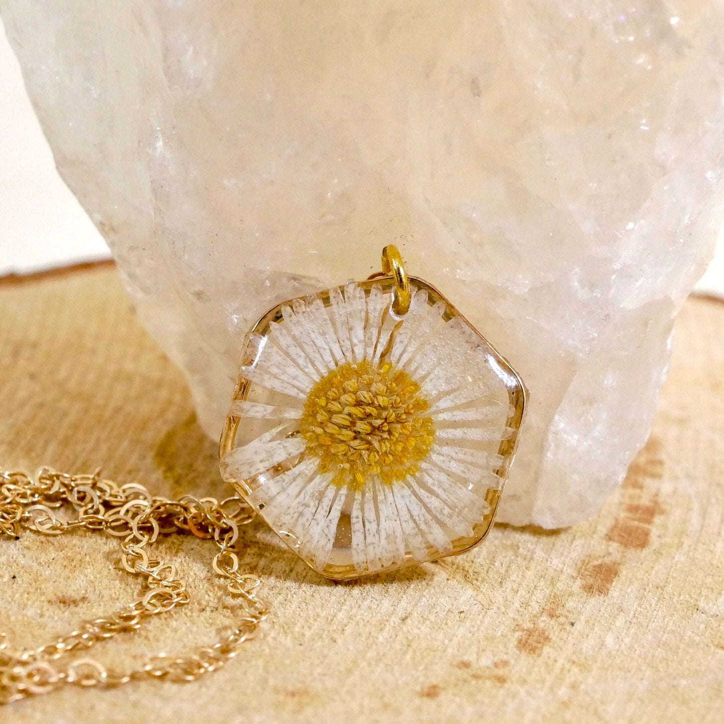 Tiny English Daisy necklace, hexagon fleabane necklace, botanical jewelry, Real flower terrarium
