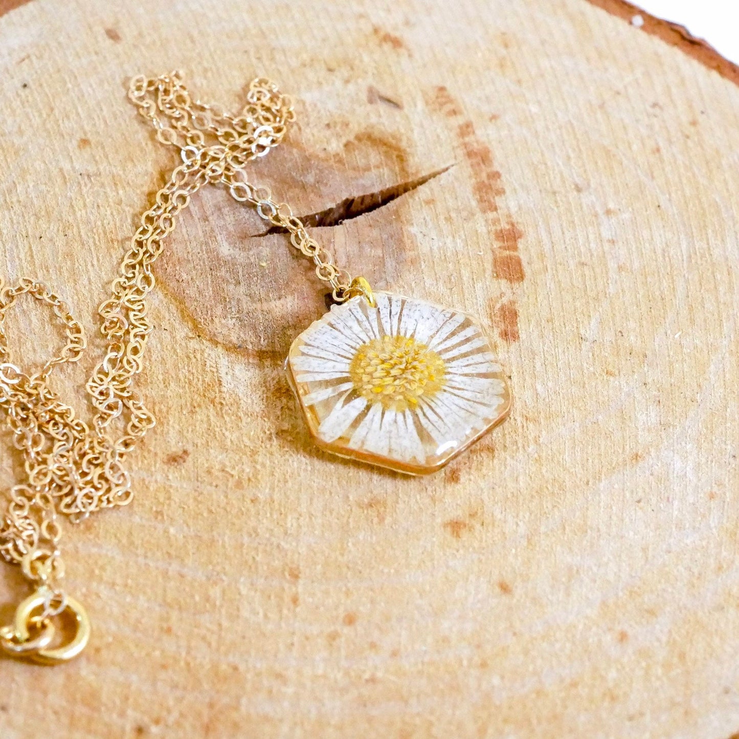 Tiny English Daisy necklace, hexagon fleabane necklace, botanical jewelry, Real flower terrarium