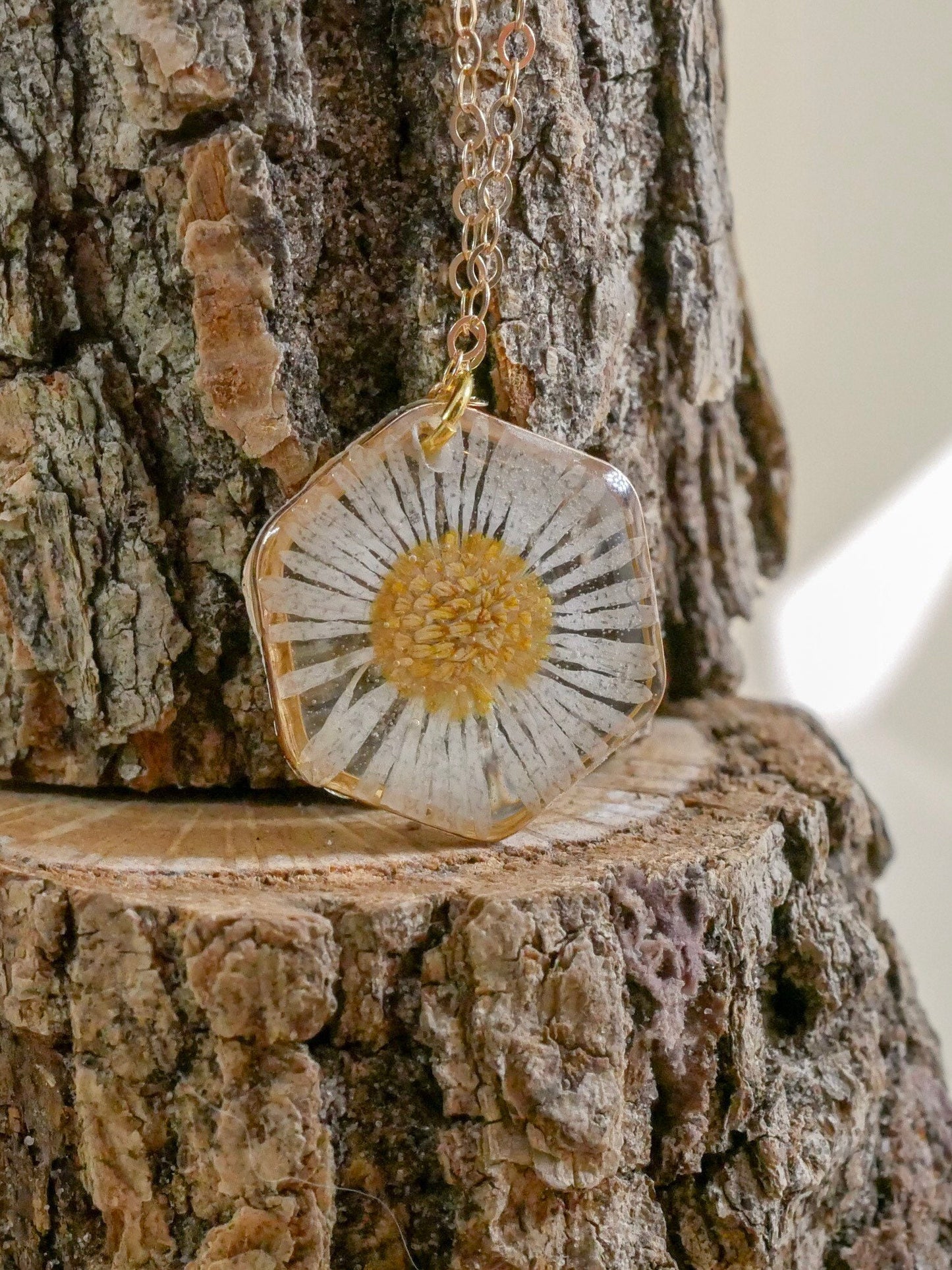 Tiny English Daisy necklace, hexagon fleabane necklace, botanical jewelry, Real flower terrarium