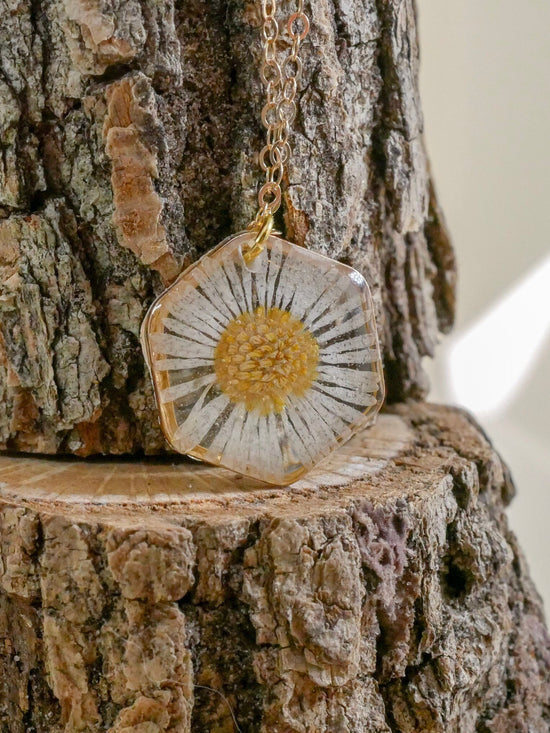Tiny English Daisy necklace, hexagon fleabane necklace, botanical jewelry, Real flower terrarium