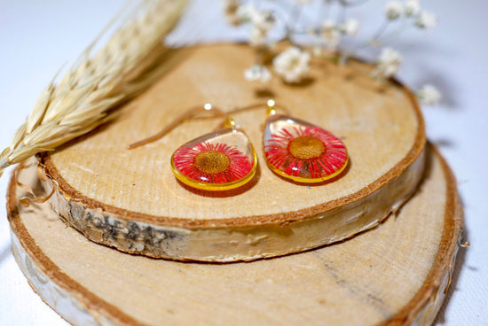 Pressed flower earrings, red daisy earrings, real flower jewelry, botanical dangles, Nature terrarium earrings, dainty flower drops
