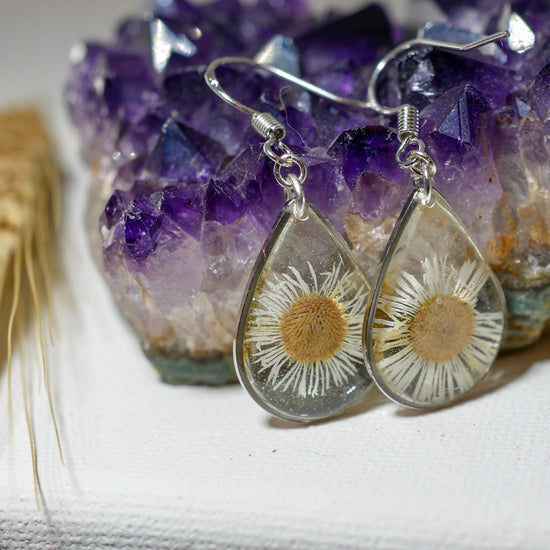 Pressed daisy earrings, real flower jewelry, white flower silver dangles, Nature terrarium earrings, dainty flower drops, tiny daisies