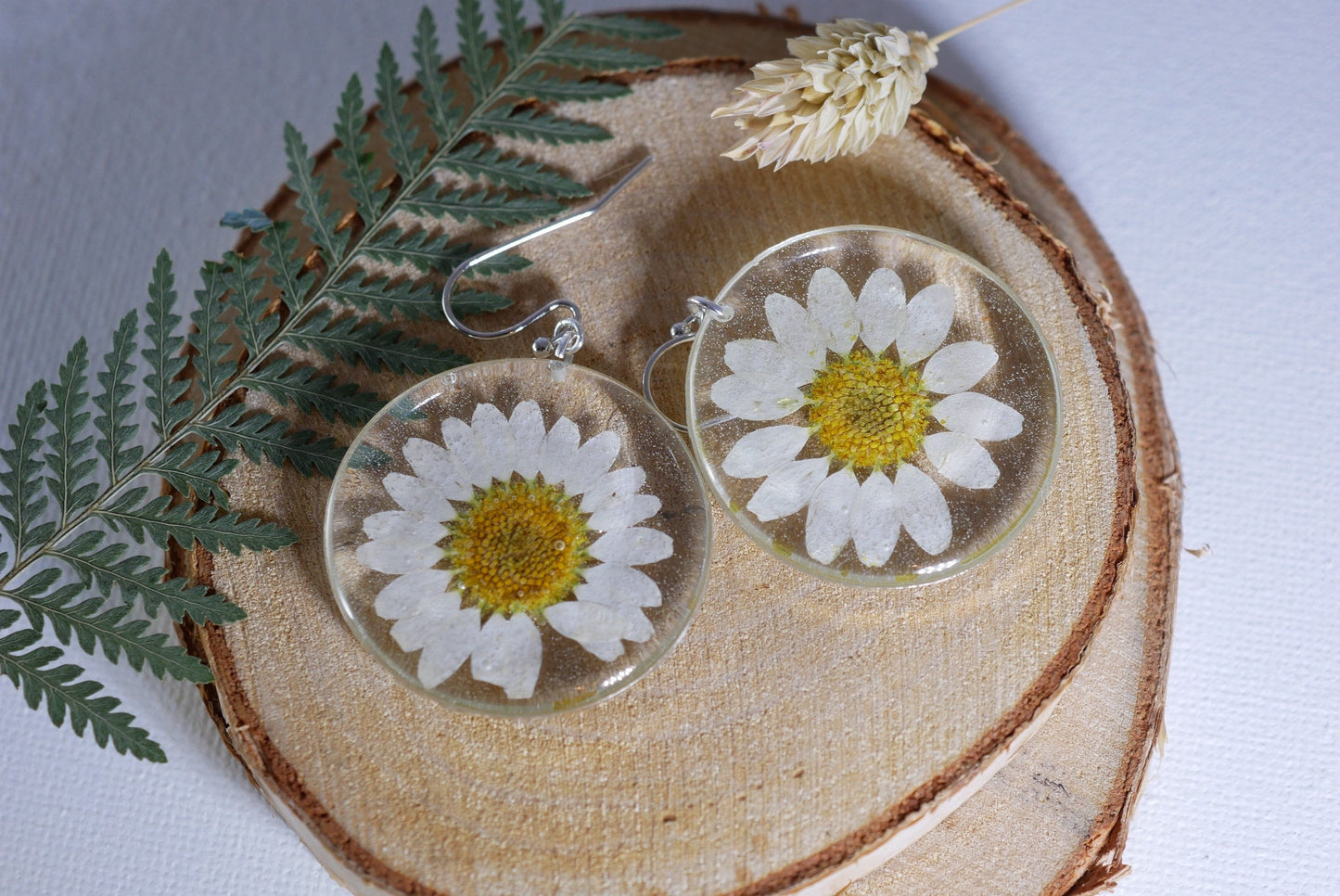 Pressed flower daisy earrings, real flowers,  silver statement dangles,  terrarium earrings, real flower jewelry