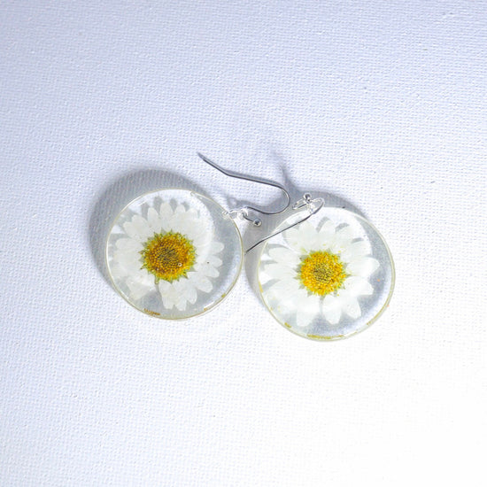 Pressed flower daisy earrings, real flowers,  silver statement dangles,  terrarium earrings, real flower jewelry