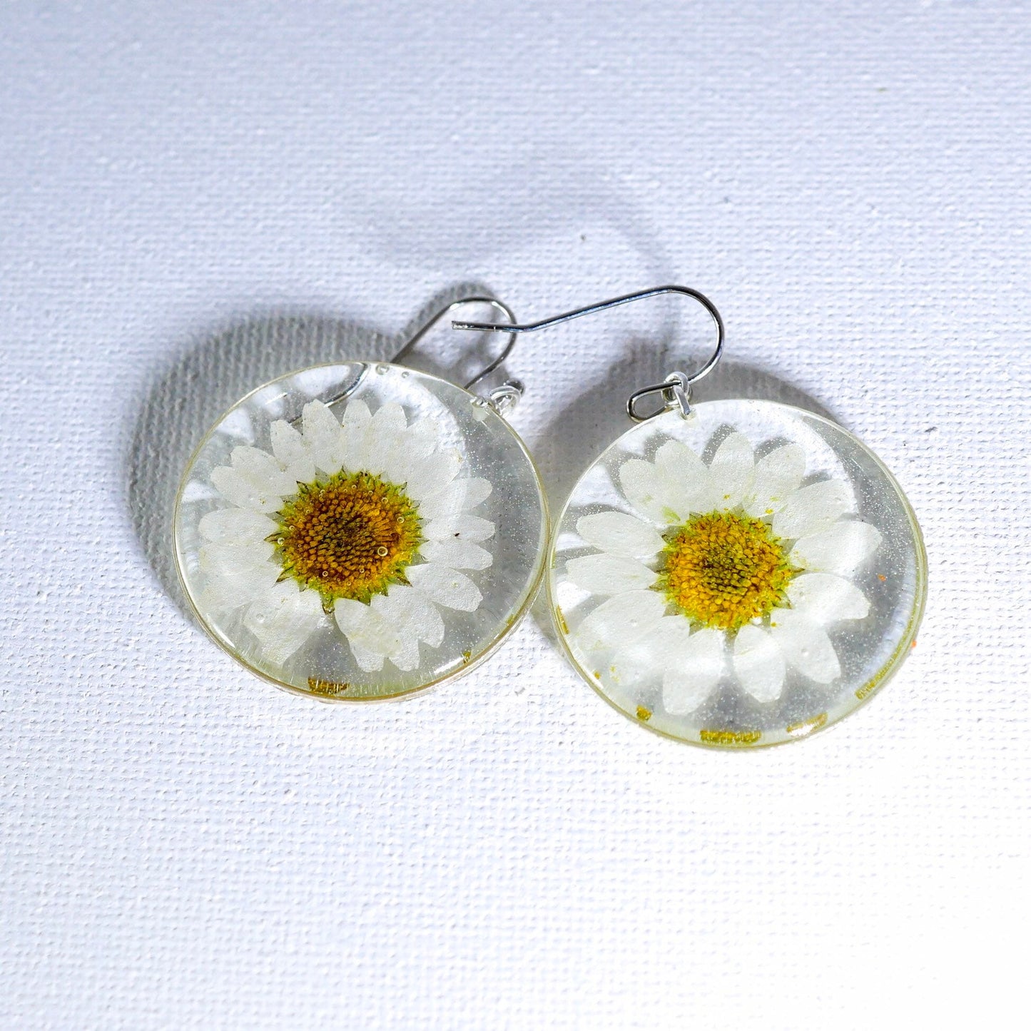 Pressed flower daisy earrings, real flowers,  silver statement dangles,  terrarium earrings, real flower jewelry