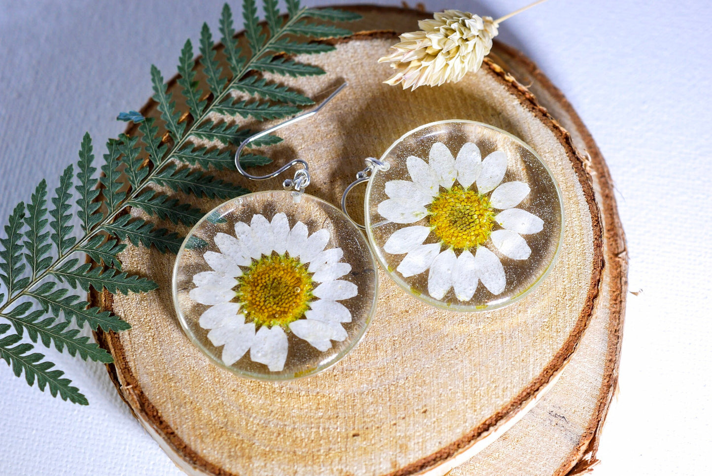 Pressed flower daisy earrings, real flowers,  silver statement dangles,  terrarium earrings, real flower jewelry