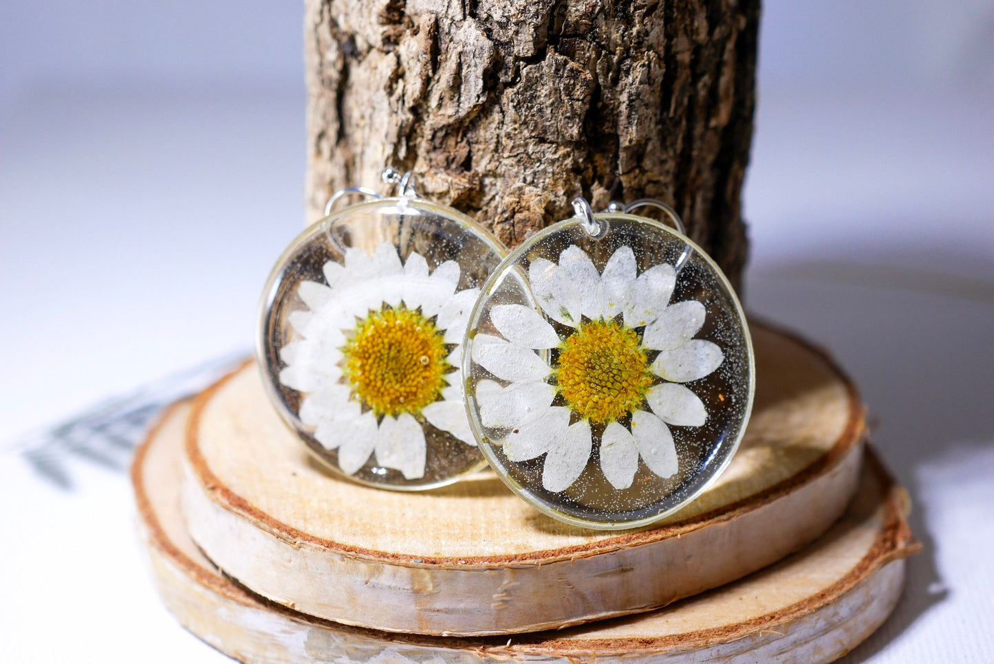 Pressed flower daisy earrings, real flowers,  silver statement dangles,  terrarium earrings, real flower jewelry