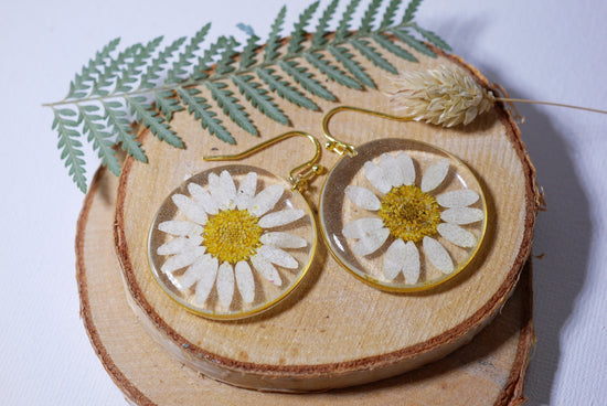 Pressed flower daisy earrings,   gold dangles,  real flower jewelry, terrarium earrings