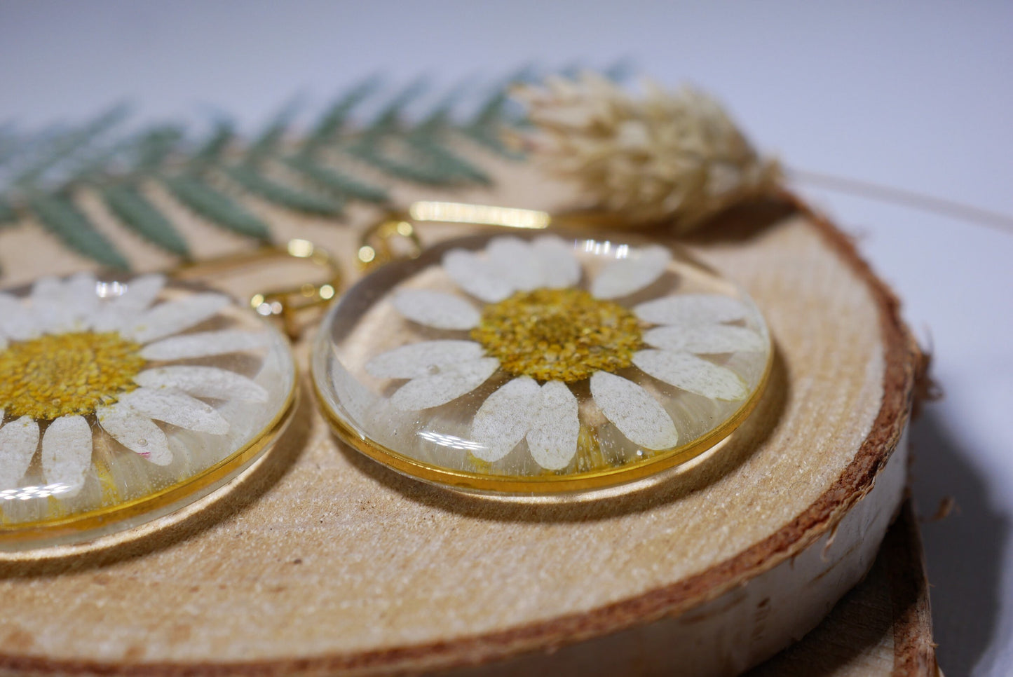 Pressed flower daisy earrings,   gold dangles,  real flower jewelry, terrarium earrings