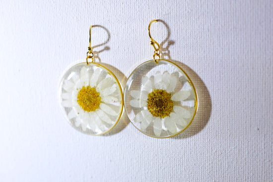 Pressed flower daisy earrings,   gold dangles,  real flower jewelry, terrarium earrings