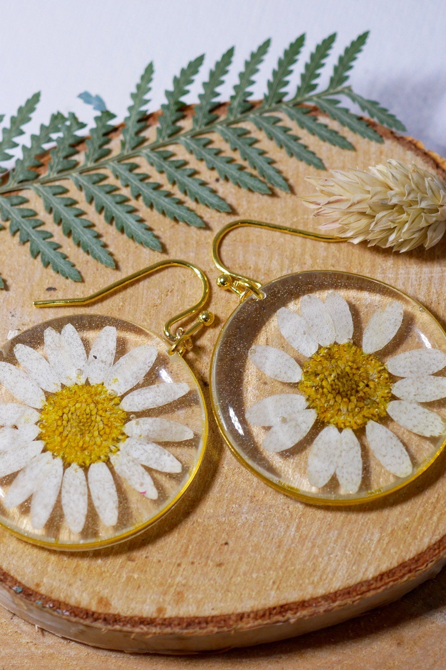 Pressed flower daisy earrings,   gold dangles,  real flower jewelry, terrarium earrings