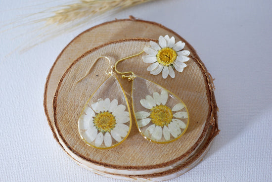 Pressed flower daisy earrings,   gold dangles,  real flower jewelry, resin jewelry, terrarium earrings