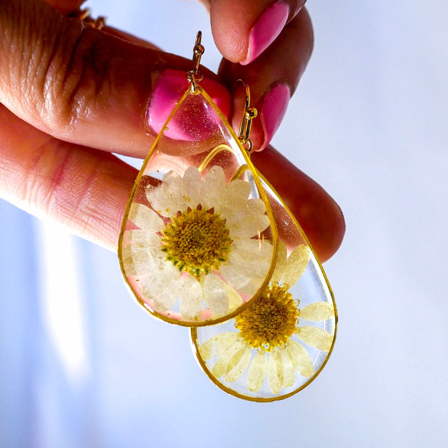 Pressed flower daisy earrings,   gold dangles,  real flower jewelry, resin jewelry, terrarium earrings