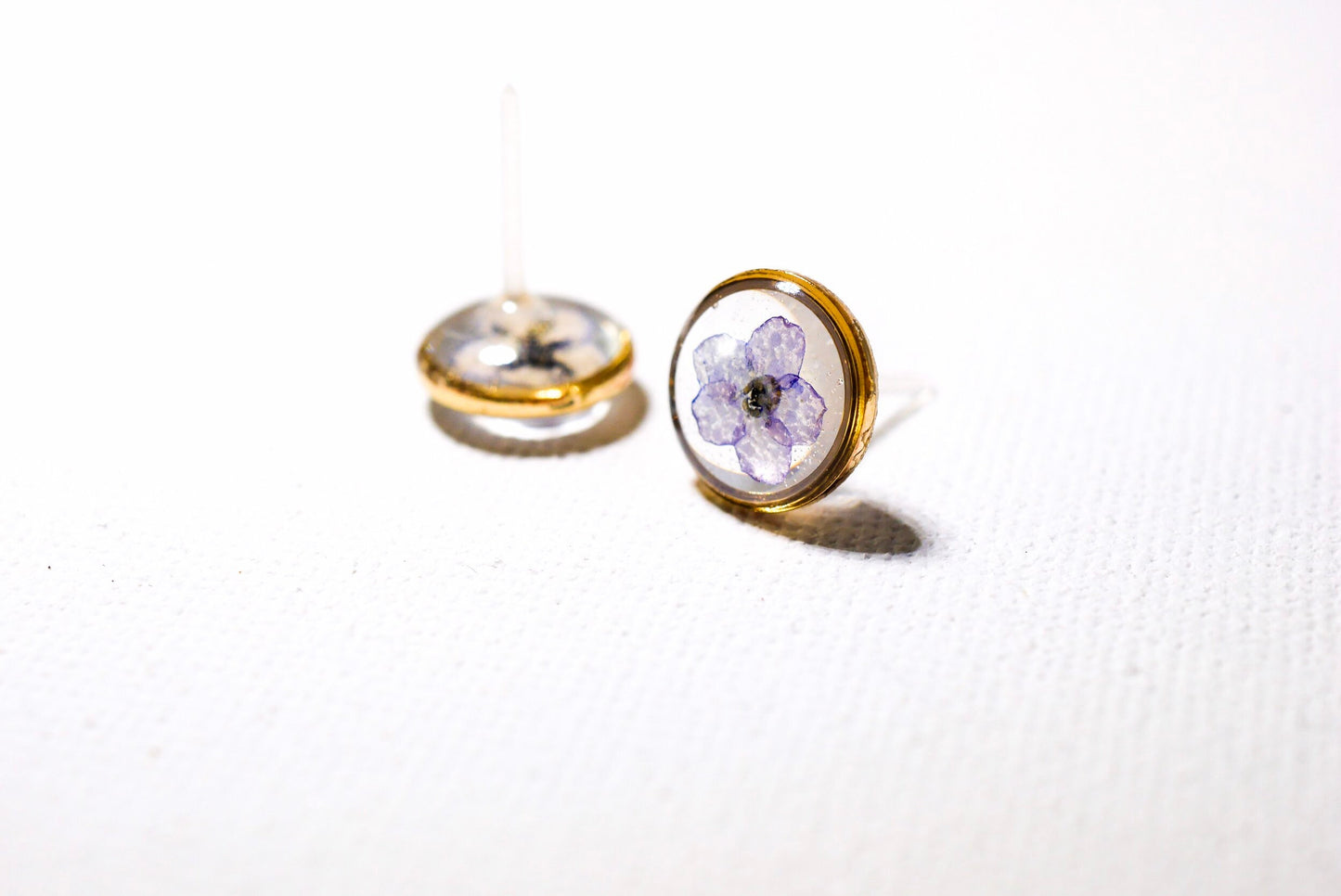 Forget Me Not Flower Stud Earrings, Real Pressed Flowers (10mm Circle)