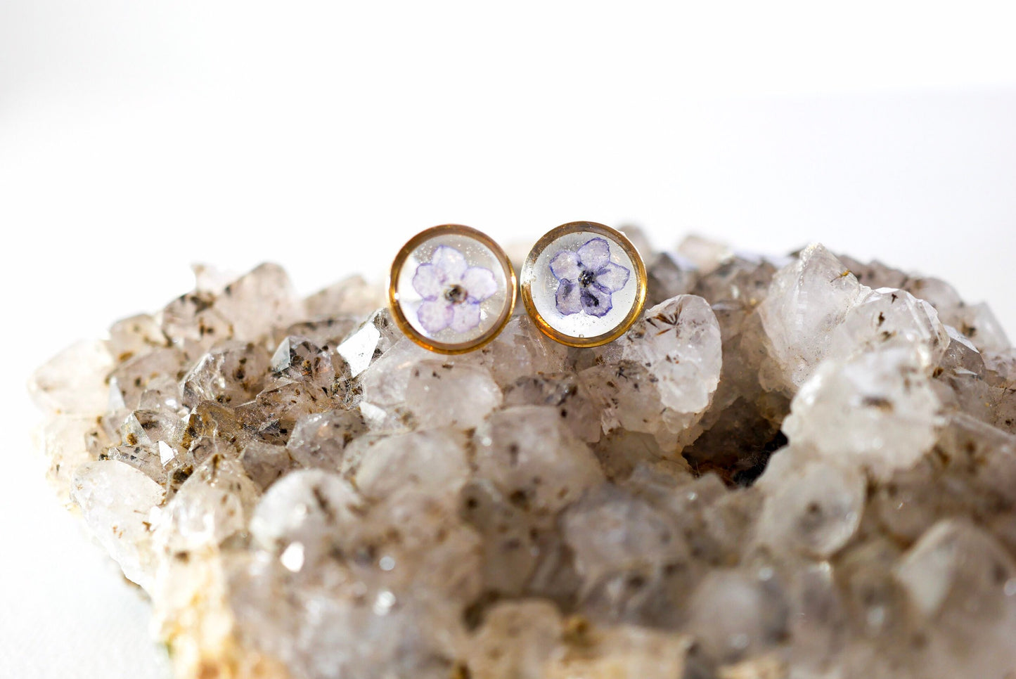 Forget Me Not Flower Stud Earrings, Real Pressed Flowers (10mm Circle)