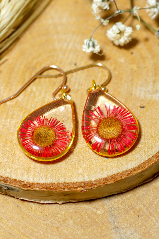 Pressed flower earrings, red daisy earrings, real flower jewelry, botanical dangles, Nature terrarium earrings, dainty flower drops