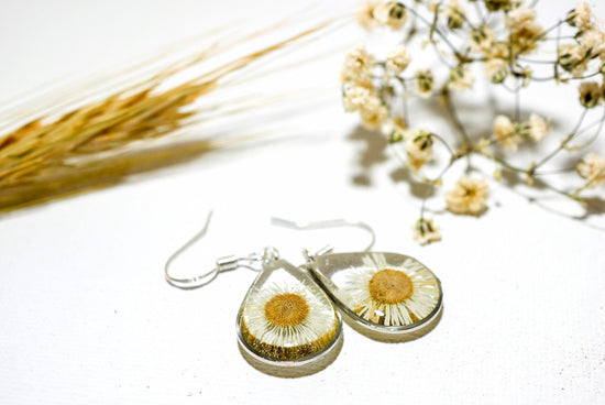 Pressed daisy earrings, real flower jewelry, white flower silver dangles, Nature terrarium earrings, dainty flower drops, tiny daisies