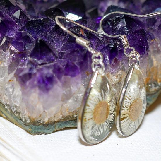 Pressed daisy earrings, real flower jewelry, white flower silver dangles, Nature terrarium earrings, dainty flower drops, tiny daisies