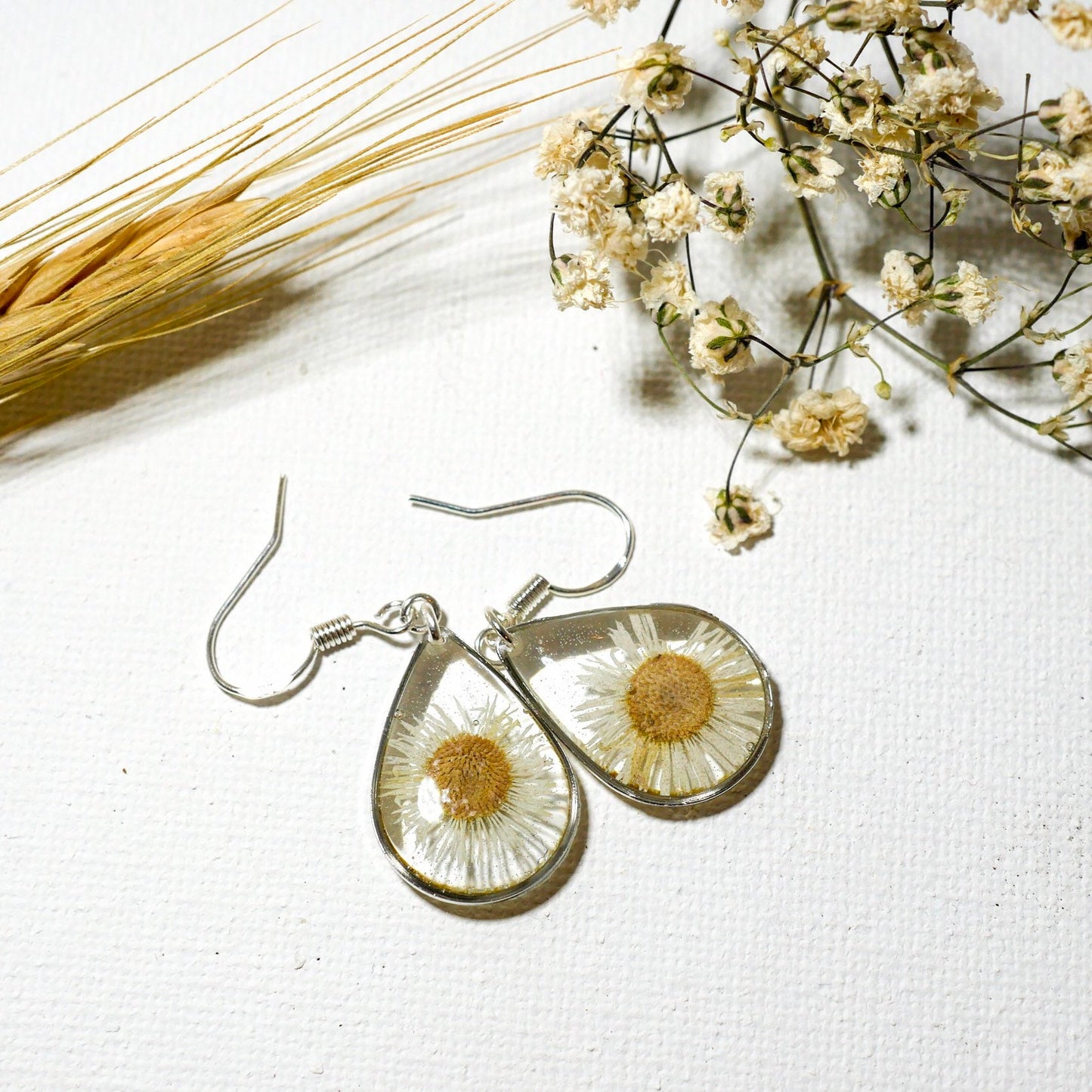 Pressed daisy earrings, real flower jewelry, white flower silver dangles, Nature terrarium earrings, dainty flower drops, tiny daisies