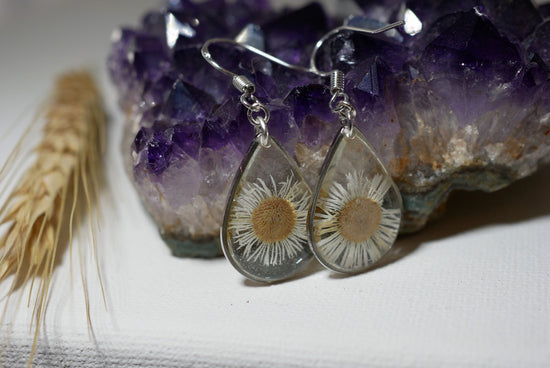 Pressed daisy earrings, real flower jewelry, white flower silver dangles, Nature terrarium earrings, dainty flower drops, tiny daisies