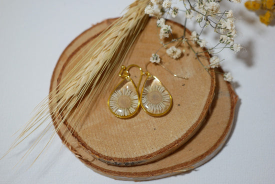Pressed flower daisy earrings, real flowers,  gold dangles, Nature terrarium earrings, dainty flower teardrop English Daisies, teardrop